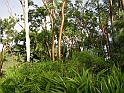 las terrazas-31